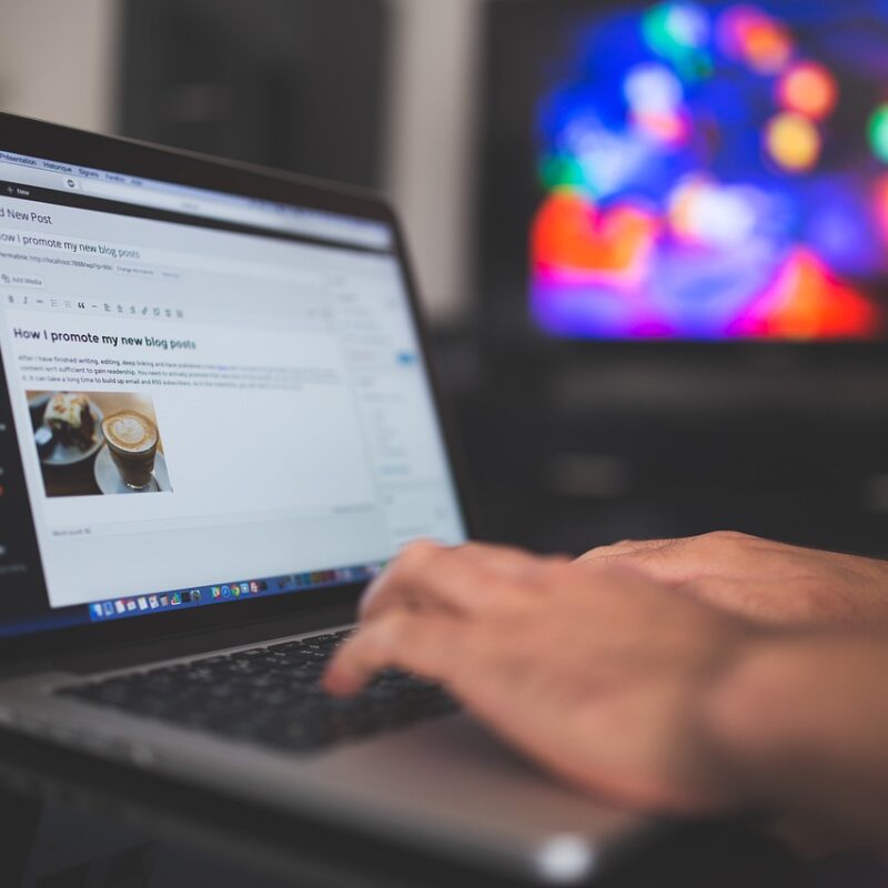 Imagen relacionada con Guía básica para tener un WordPress rápido en TUMALETIN.COM + LiteSpeed